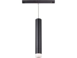 Suspended S1