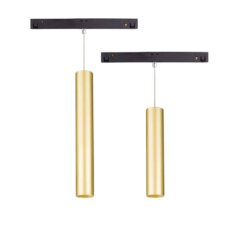 Suspended S2-S3