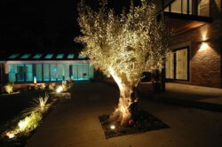 Garden light 2679 - Image 2