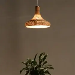 AROMA - Image 3