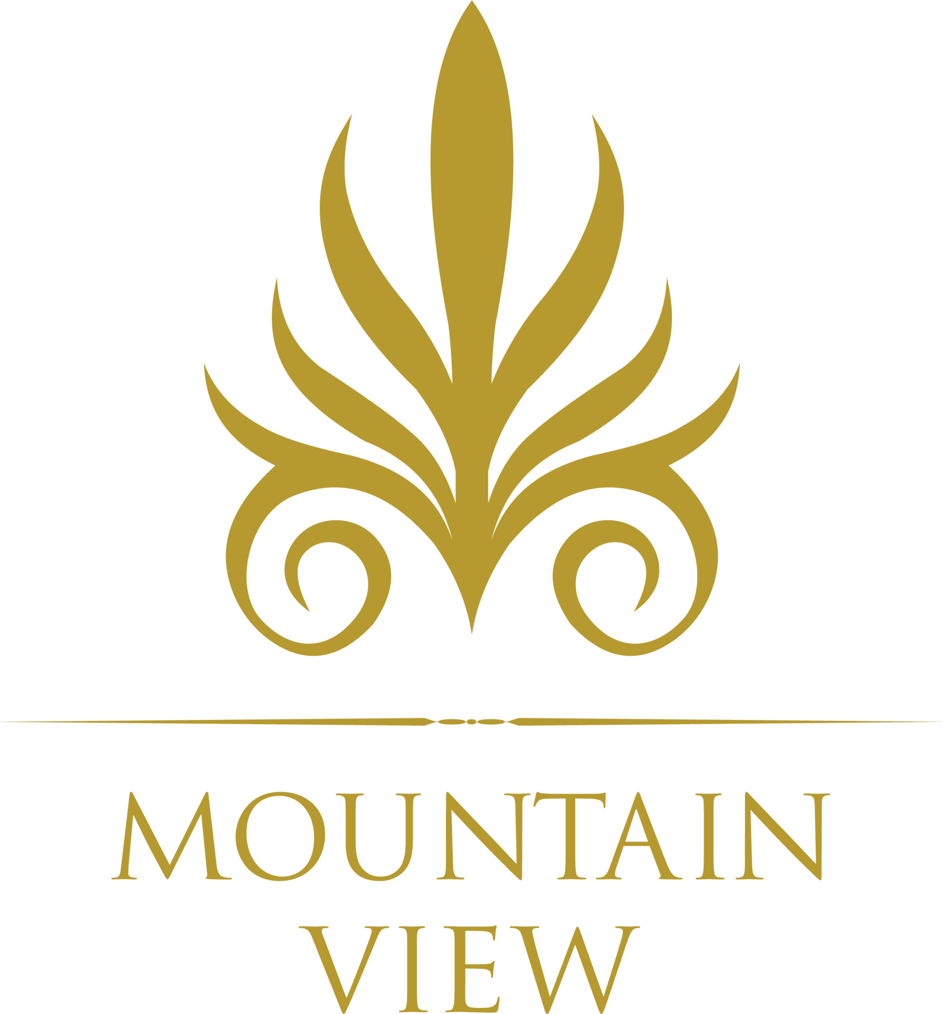 mountain-view-seeklogo